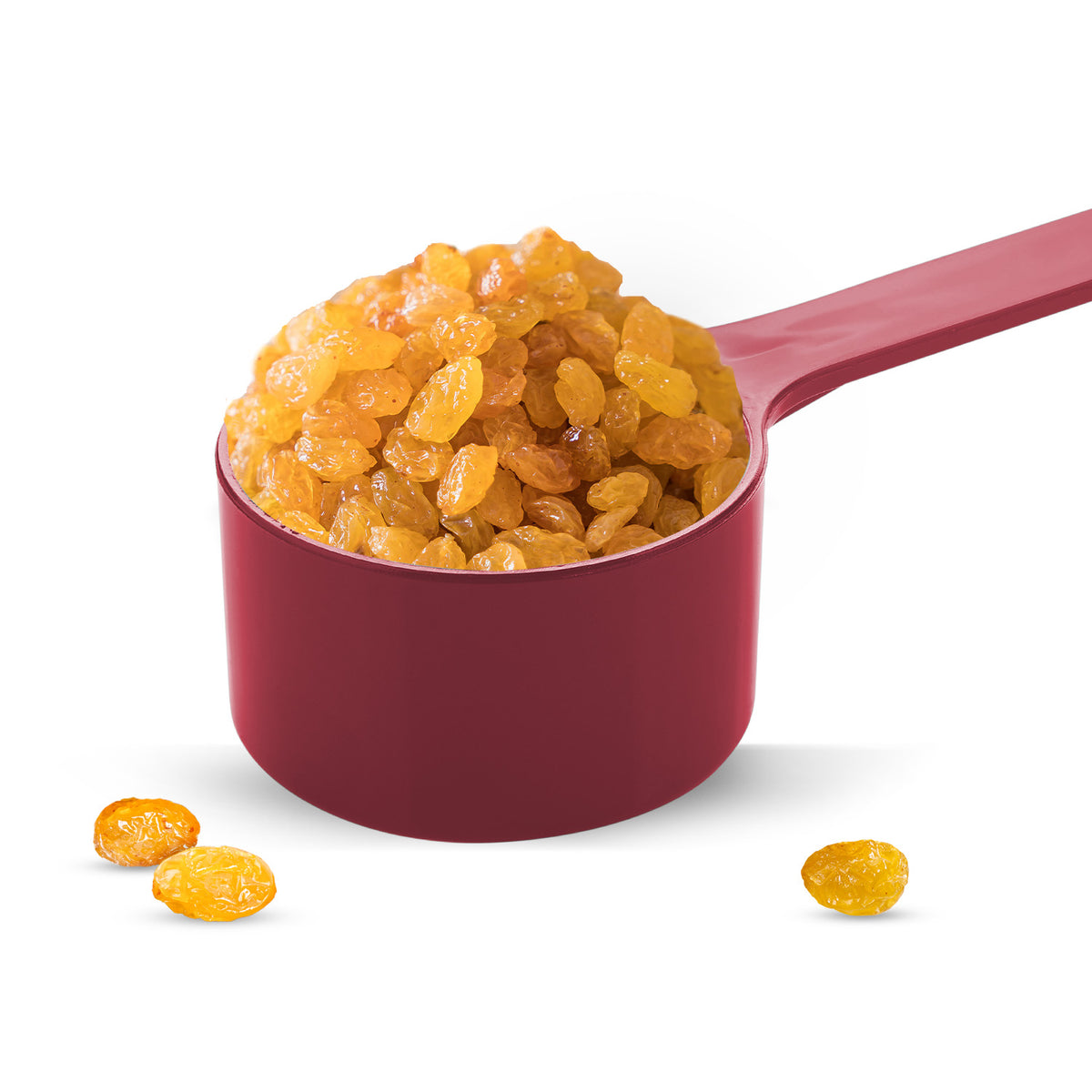 Indian Raisin Round | Bulk Supply for Institutional Use