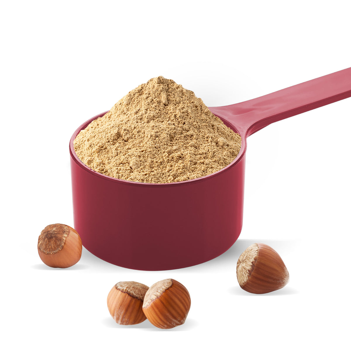 Hazelnut Powder in Bulk | B2B & Institutional Supplier