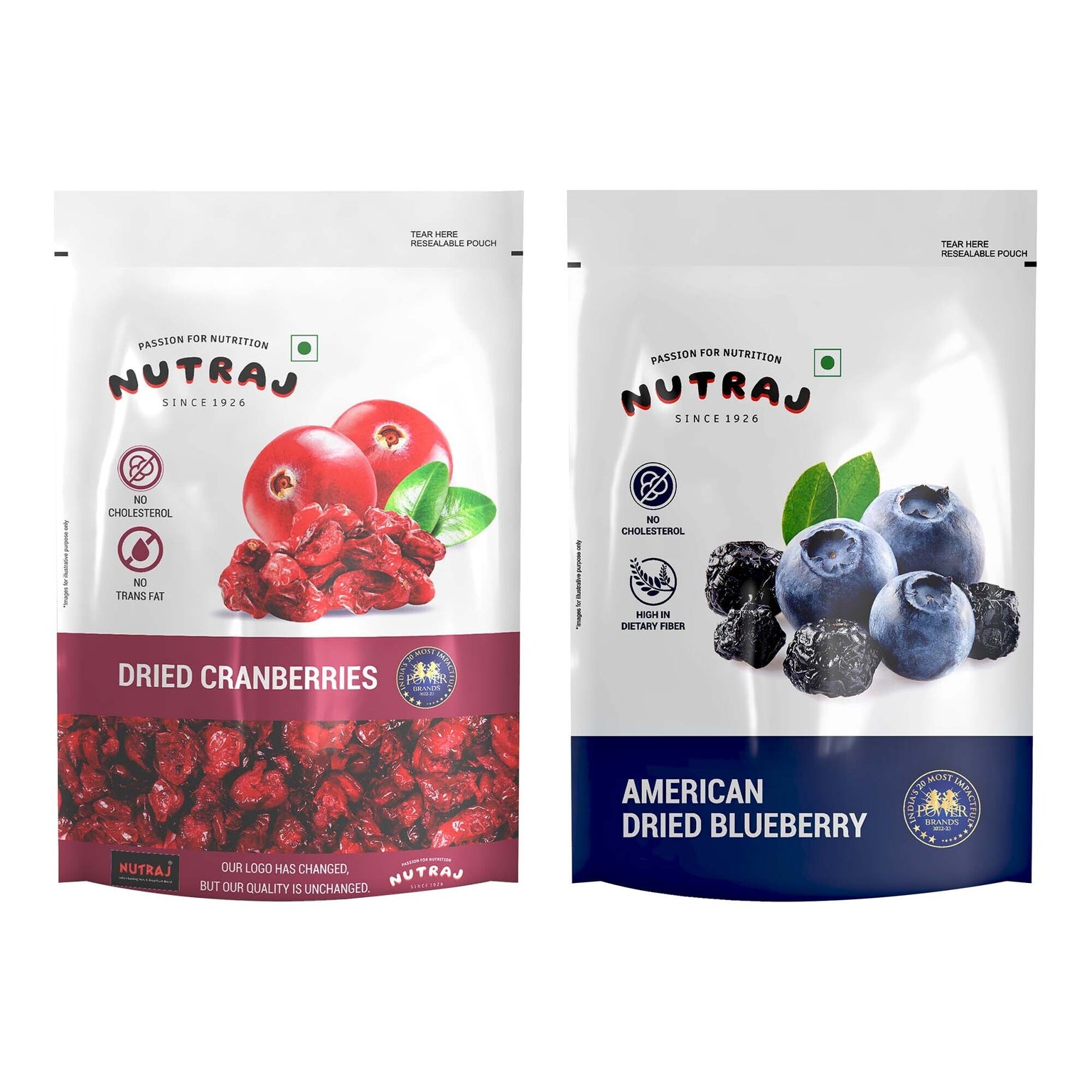 Buy Premium Dried Berries Online at Best Price in India