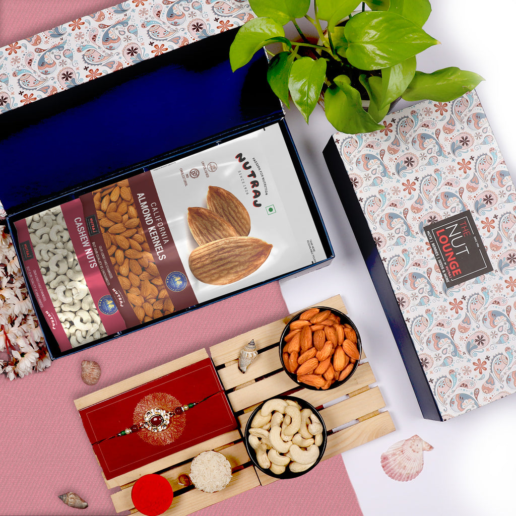 8 Best Vitamin B12 Rich Dry Fruits to Add to Your Routine