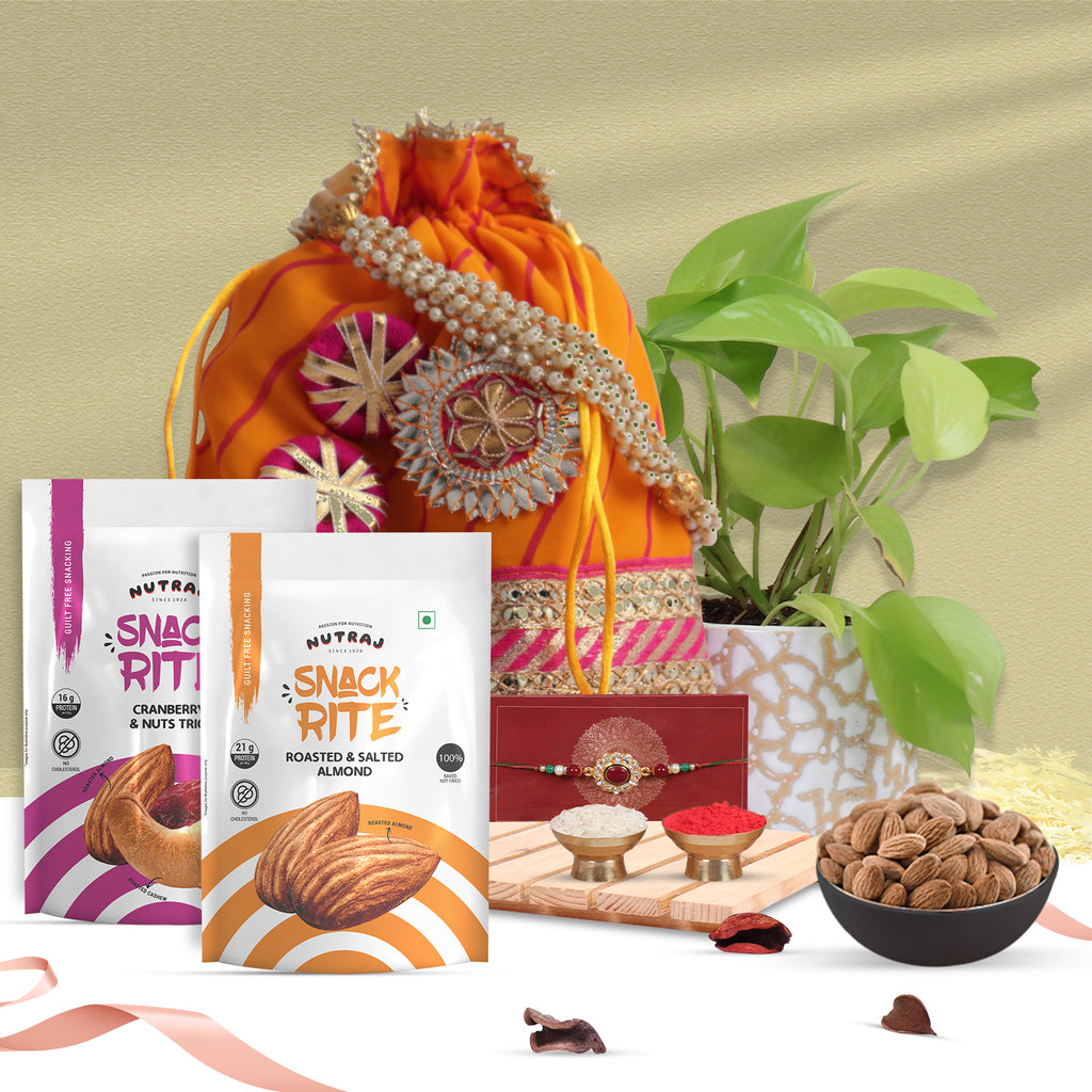 8 Best Vitamin B12 Rich Dry Fruits to Add to Your Routine